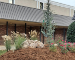 Commercial-Landscapes-By-Gordons-Landscapes