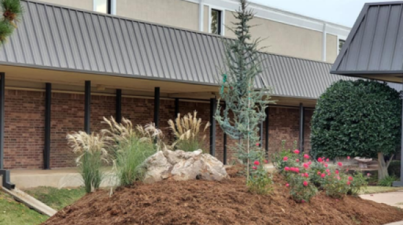 Commercial-Landscapes-By-Gordons-Landscapes