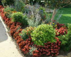 Residential-Landscapes-By-Gordons-Landscapes